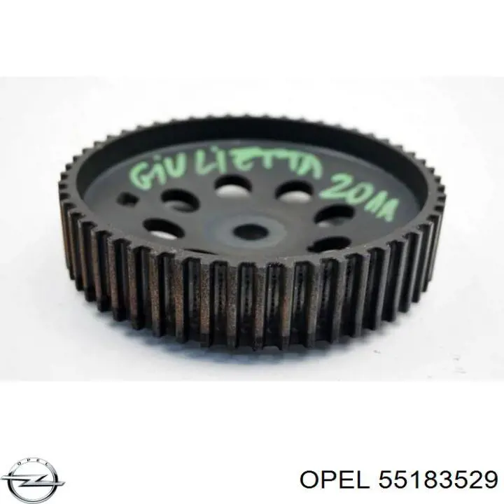 5636337 General Motors Koło zębatewalcowe wałka rozrządu silnika