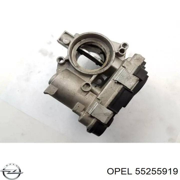Do koszyka 40DFP1 Magneti Marelli Przepustnica, komplet