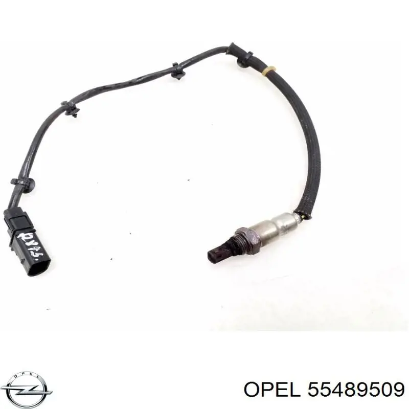 55489509 General Motors Sonda lambda, czujnik tlenu