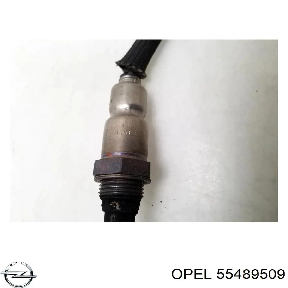Sonda lambda, czujnik tlenu General Motors 55489509 cena, od 71,51 USD