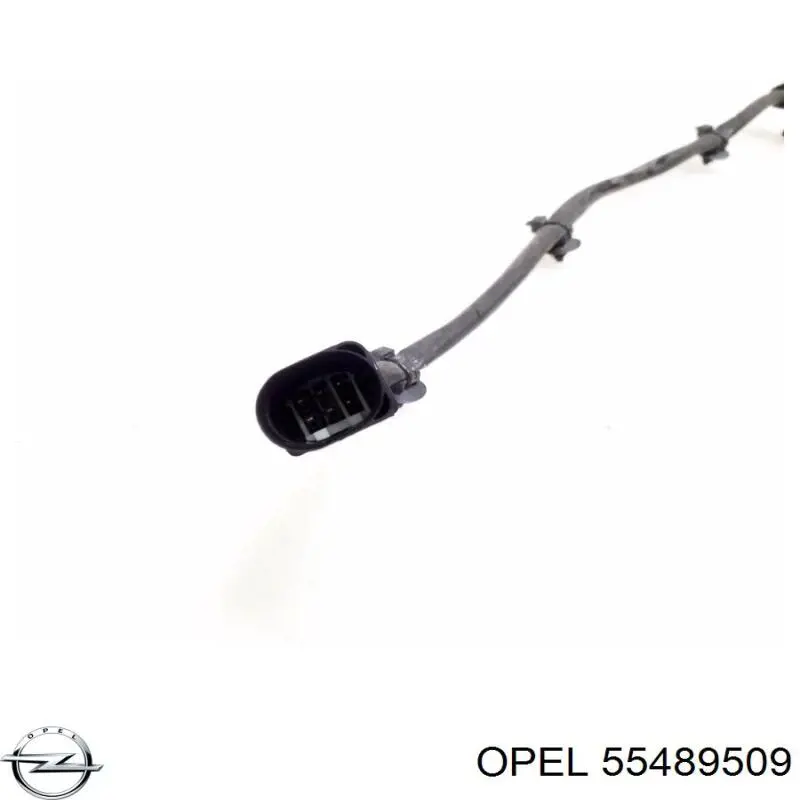 Do koszyka 55489509 General Motors Sonda lambda, czujnik tlenu