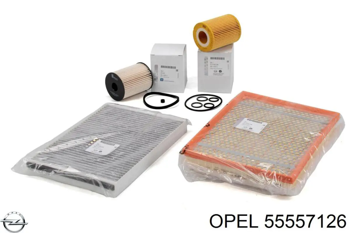 Obudowa filtra powietrza Opel Astra H kombi (L35) (2004 - 2014) cena, od 131,62 USD