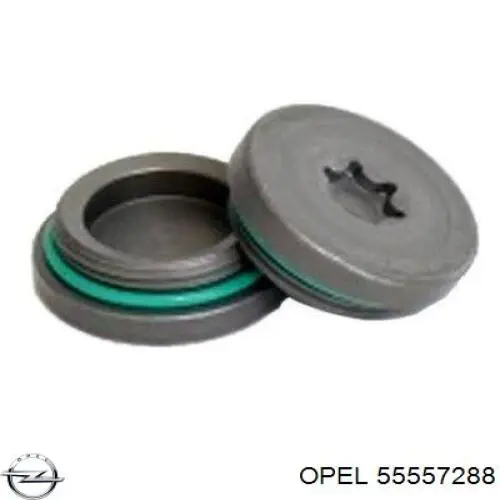 Zaślepka głowicy cylindrów/bloku cylindrów Opel 5636974 cena, od 6,45 USD