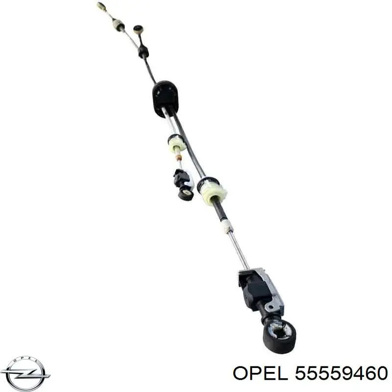  General Motors 55559460