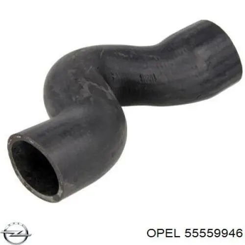 Do koszyka 55559946 Opel Przewód (króciec) intercoolera