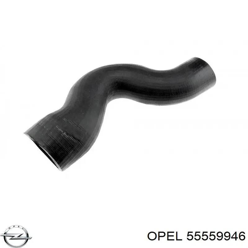 55559946 Opel Przewód (króciec) intercoolera