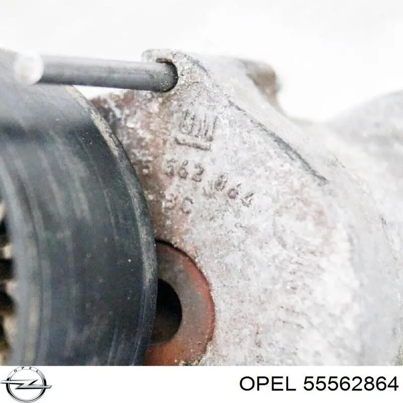 Do koszyka 55562864 Opel Napinacz paska napędowego