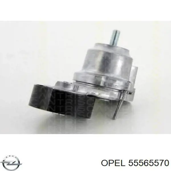 Do koszyka 55565570 Opel Napinacz paska napędowego