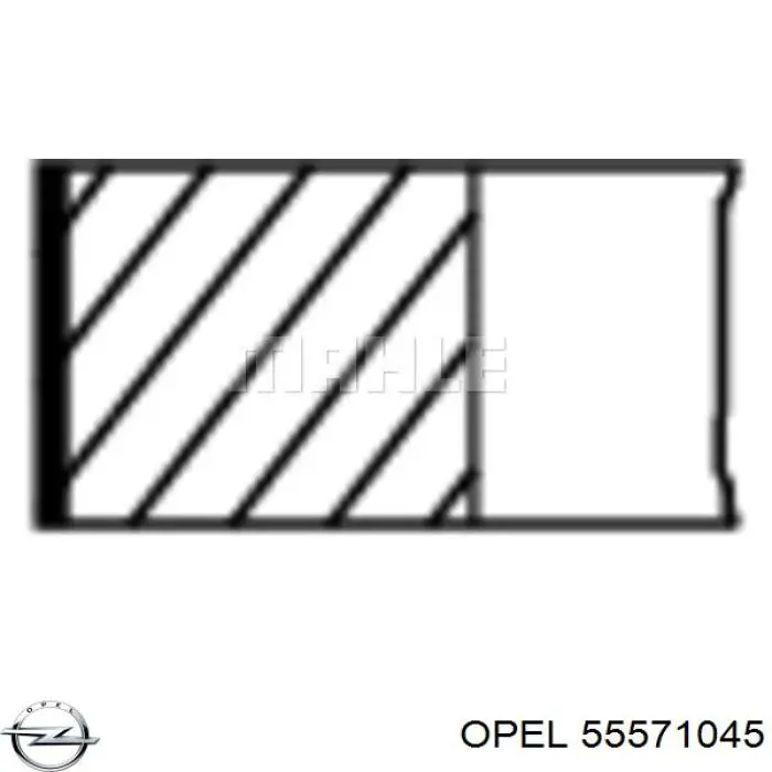 Tłok, komplet do jednego cylindru, STD General Motors 55580179 cena, od 50,75 USD