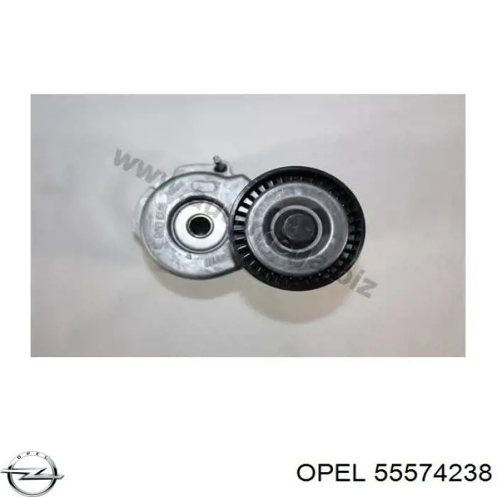 Do koszyka 55574238 Opel Napinacz paska napędowego