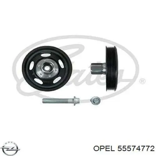 Do koszyka 25194437 General Motors Koło pasowe wału korbowego