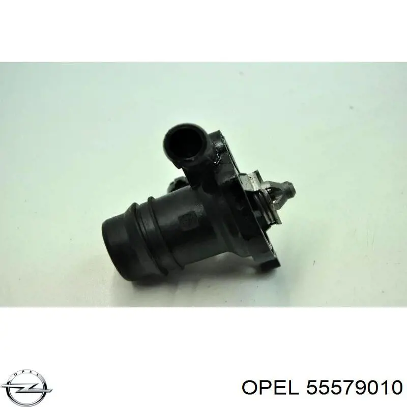 Do koszyka 55579010 Opel Termostat