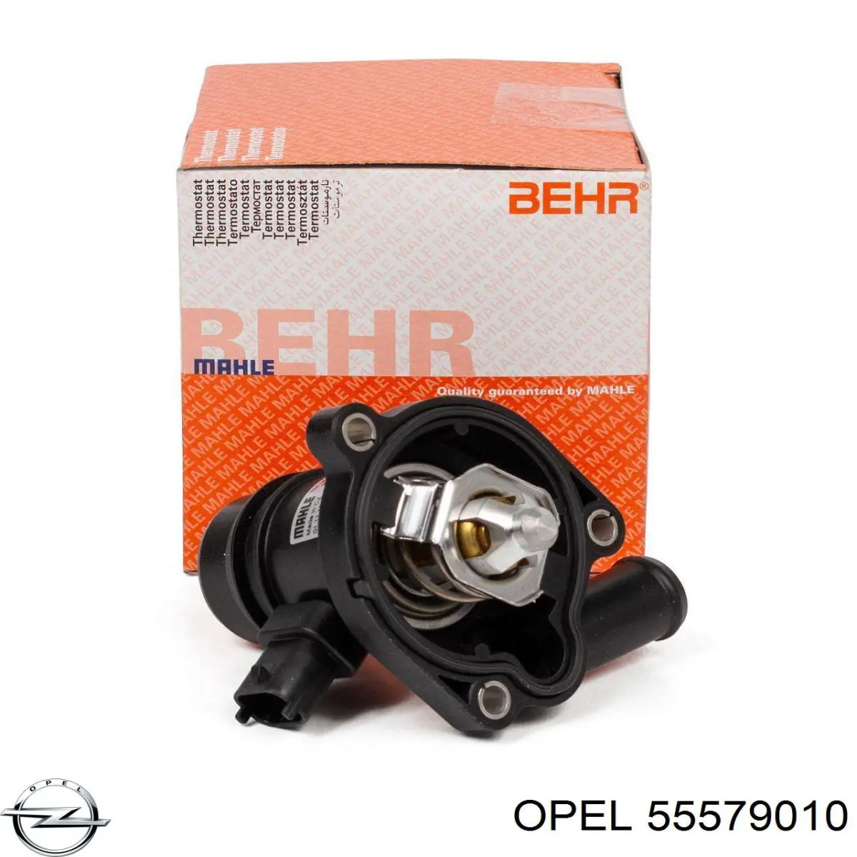 Termostat 55579010 Opel