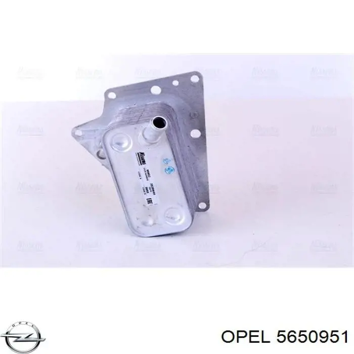 5650951 Opel Chłodnica oleju, pod filtrem