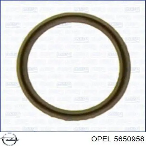 5650958 Opel Uszczelka chłodnicy oleju