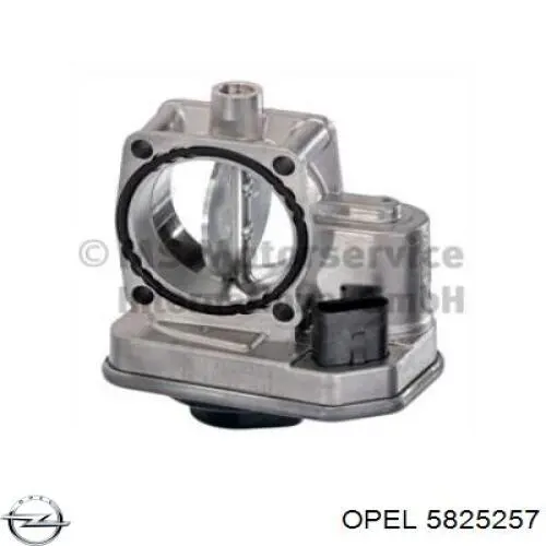 Przepustnica, komplet Opel 5825257 cena, od 52,78 USD