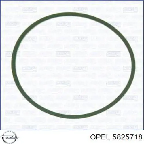 Uszczelka przepustnicy do Opel Zafira C P12