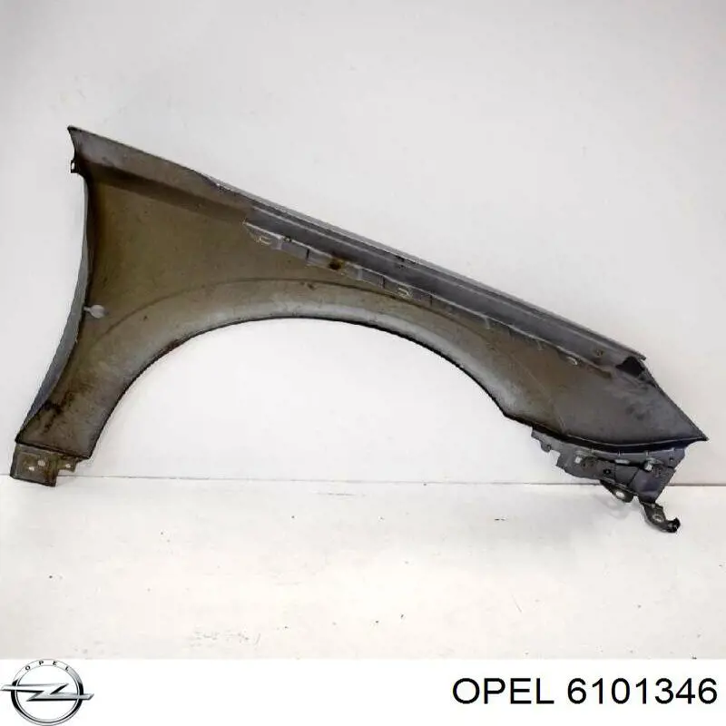 6101346 Opel Błotnik przedni lewy