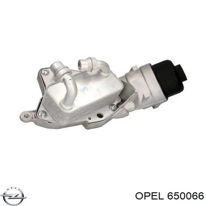 650066 Opel Obudowa filtra oleju