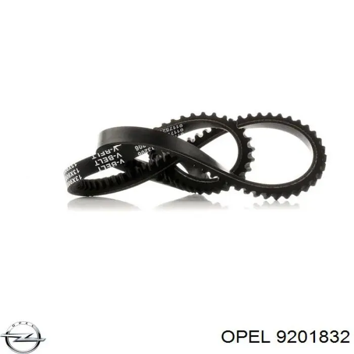 Pas napędowy mechanizmów Dayco 10A1325C cena, od 9,47 USD
