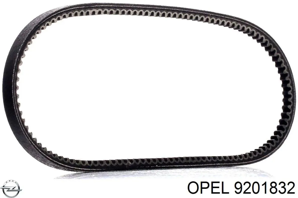10A1325C Dayco Pas napędowy mechanizmów