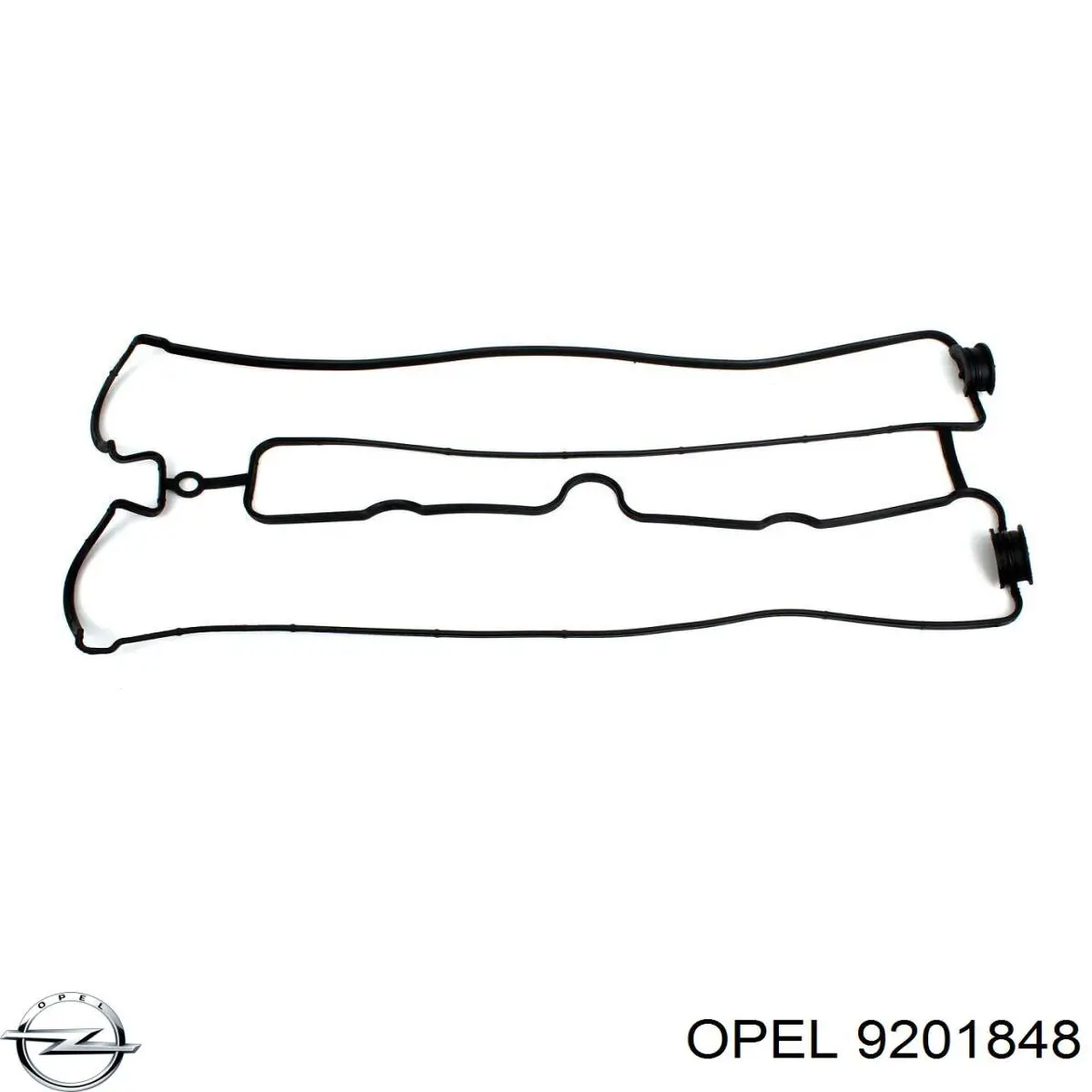 9201848 Opel Separator oleju układu wentylacji kadłuda (bloku silnika)
