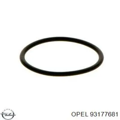 Do koszyka 42549209 Iveco Uszczelka pompy wtryskowej