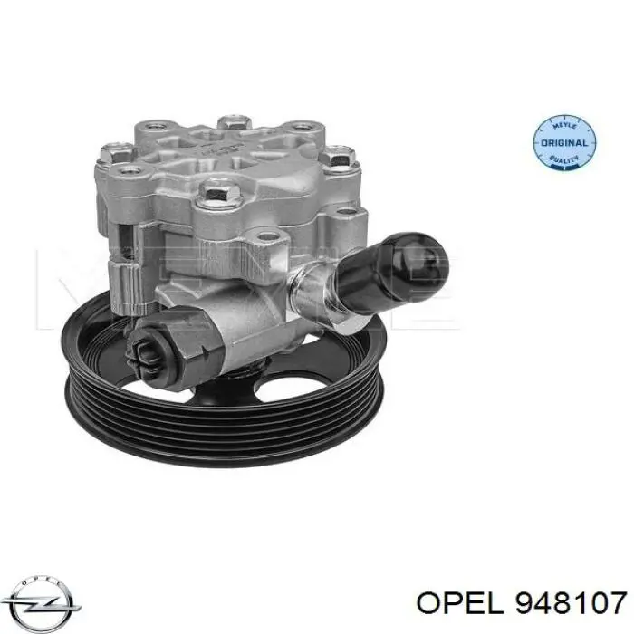 Pompa wspomagania hydraulicznego kierownicy EX13309339 Mando