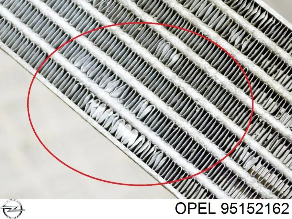 Do koszyka 95152162 Opel Chłodnica automatycznej/mechanicznej skrzyni biegów