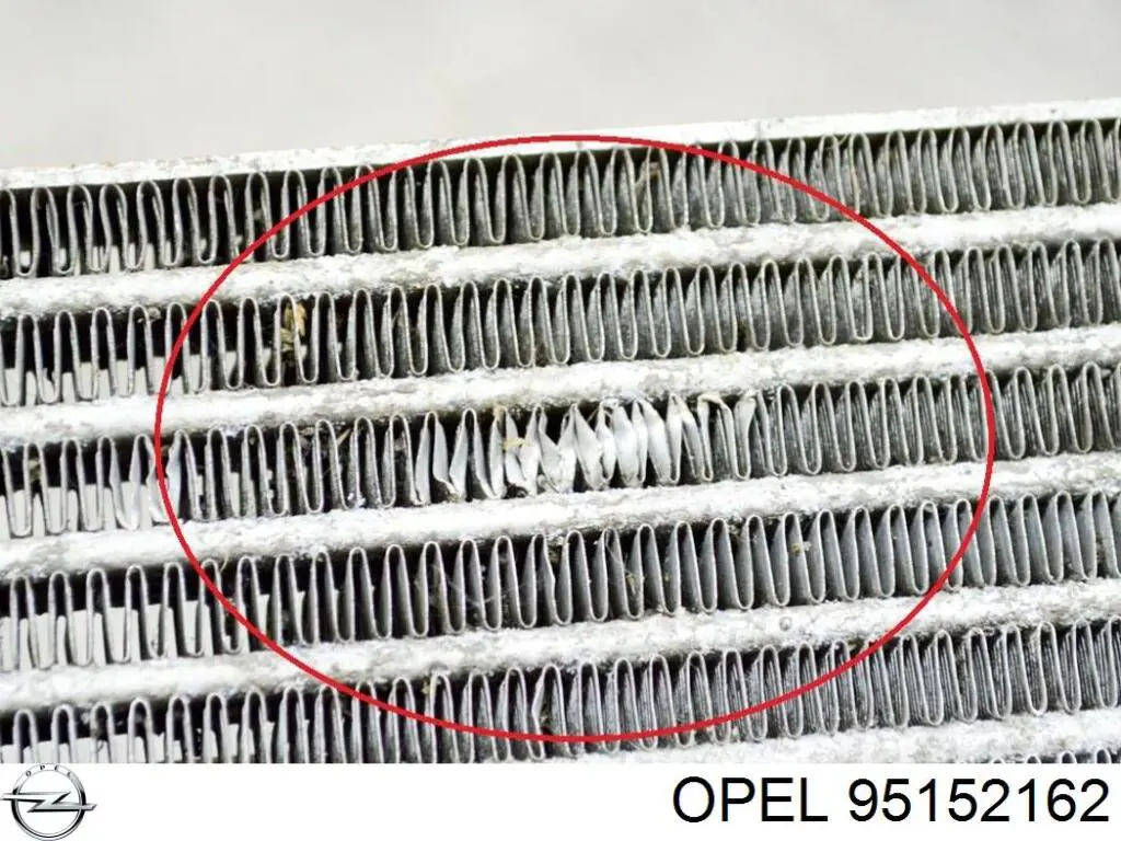 95152162 Opel Chłodnica automatycznej/mechanicznej skrzyni biegów