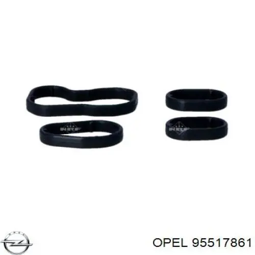 Do koszyka 95517861 Opel Chłodnica oleju, pod filtrem