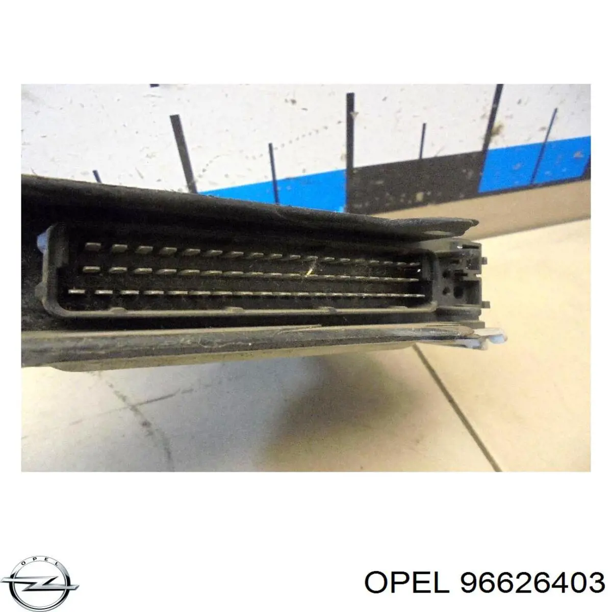  Stabilizator tylny Chevrolet Captiva 1