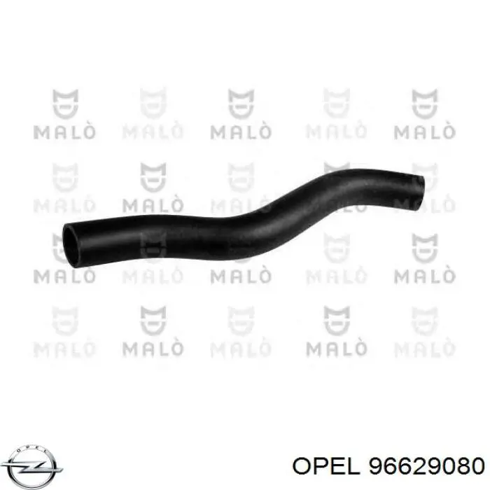 Przewód (króciec) chłodnicy górny Chevrolet Captiva I SUV (C100) (2006 - 2010) cena, od 8,05 USD