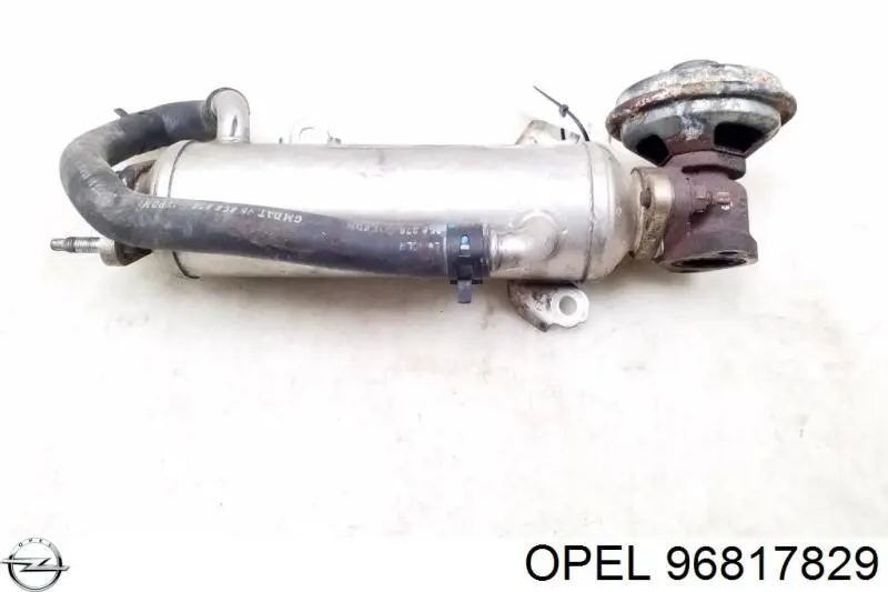 Chłodnica układu recyrkulacji spalin EGR Opel 96817829 cena, od 45,97 USD