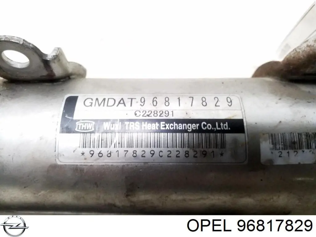 Do koszyka 96817829 Opel Chłodnica układu recyrkulacji spalin EGR