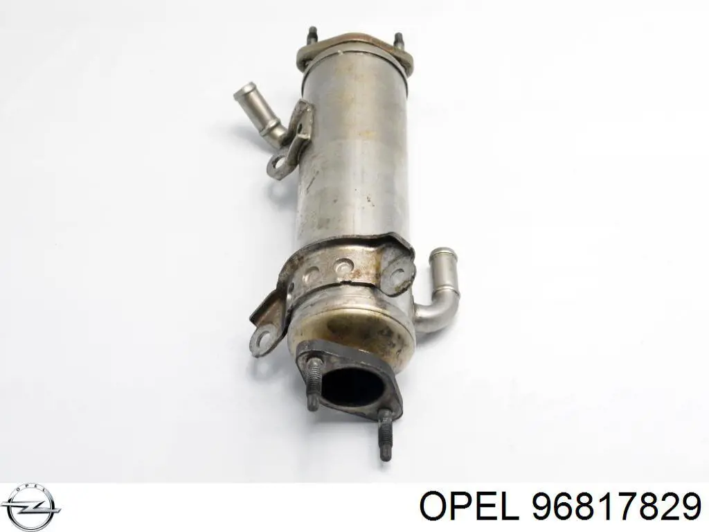 Chłodnica układu recyrkulacji spalin EGR 96817829 Opel