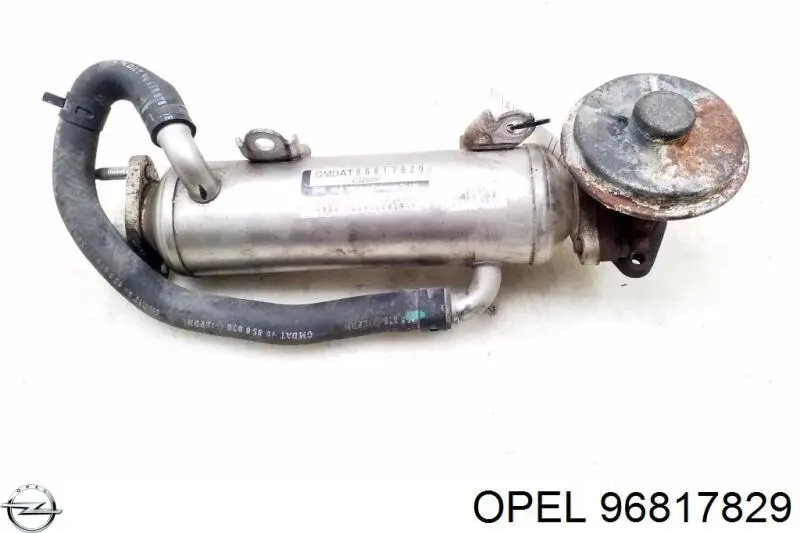 96817829 Opel Chłodnica układu recyrkulacji spalin EGR