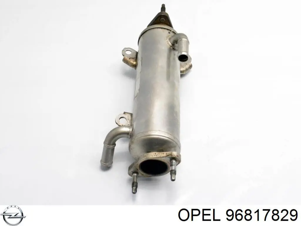 Do koszyka 96817829 Opel Chłodnica układu recyrkulacji spalin EGR