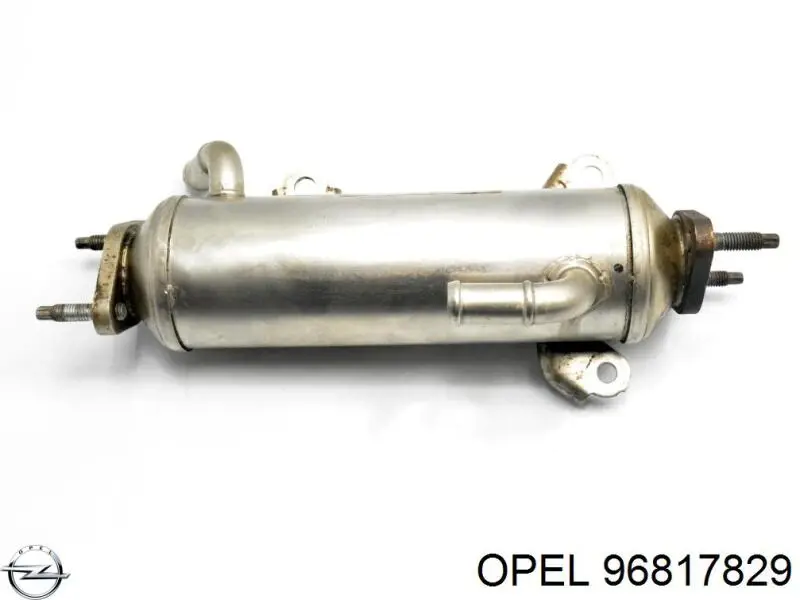 Chłodnica układu recyrkulacji spalin EGR 96817829 Opel