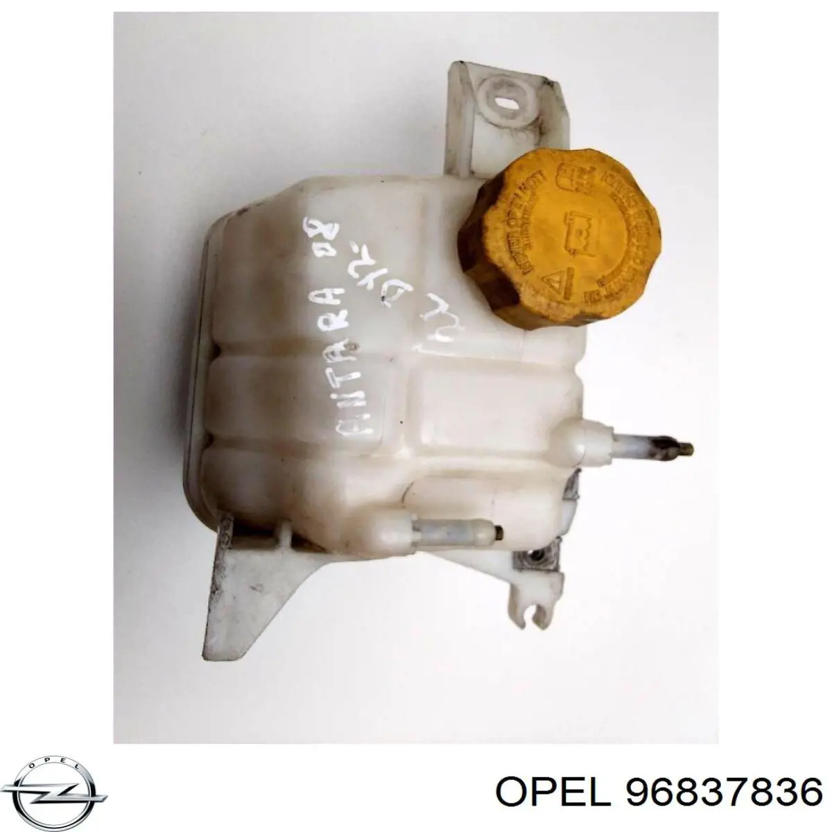 Do koszyka 96837836 Opel Zbiorniczek wyrównawczy układu chłodzenia