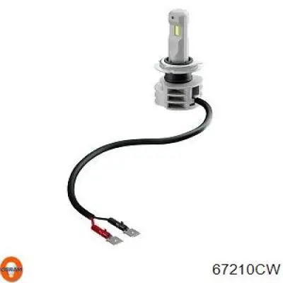 67210CW Osram Żarówka halogenowa