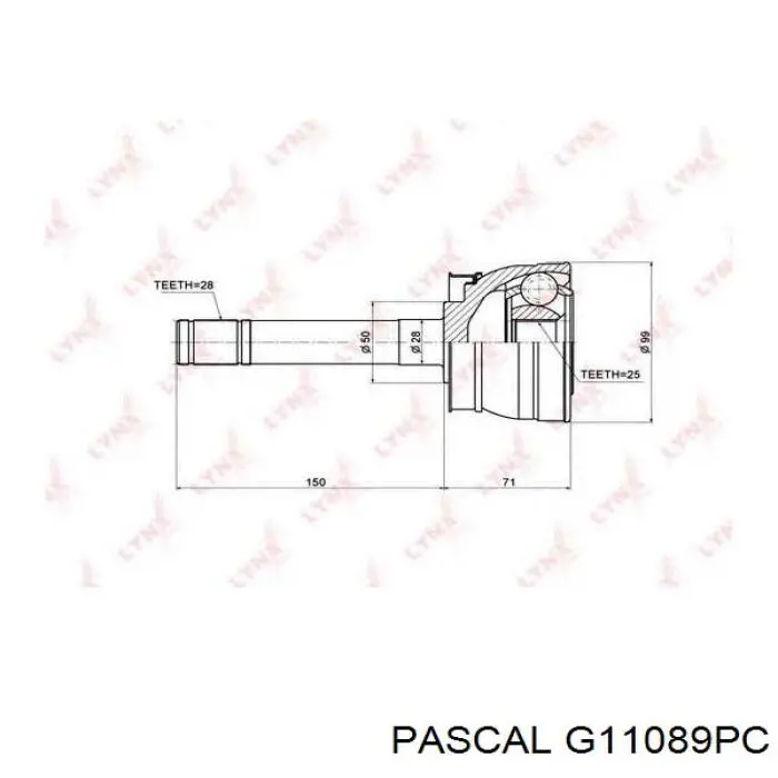 Przegub homokinetyczny przedni zewnętrzny Pascal G11089PC cena, od 50,89 USD
