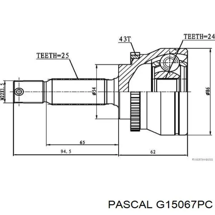 G15067PC Pascal Przegub homokinetyczny przedni zewnętrzny