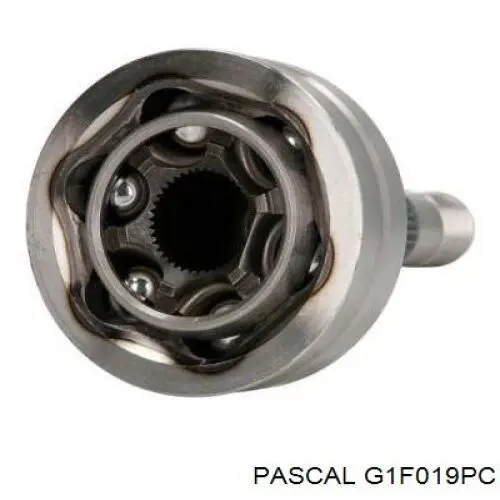 Przegub homokinetyczny przedni zewnętrzny Pascal G1F019PC cena, od 47,50 USD