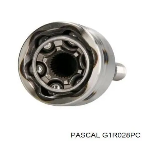 Przegub homokinetyczny przedni zewnętrzny Pascal G1R028PC cena, od 36,49 USD