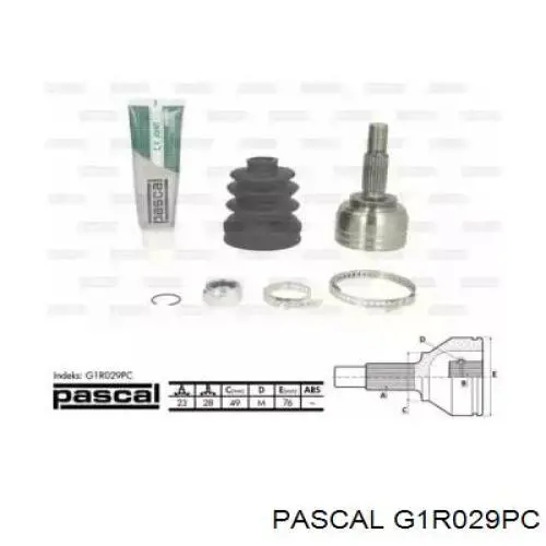 Przegub homokinetyczny przedni zewnętrzny Pascal G1R029PC cena, od 38,93 USD