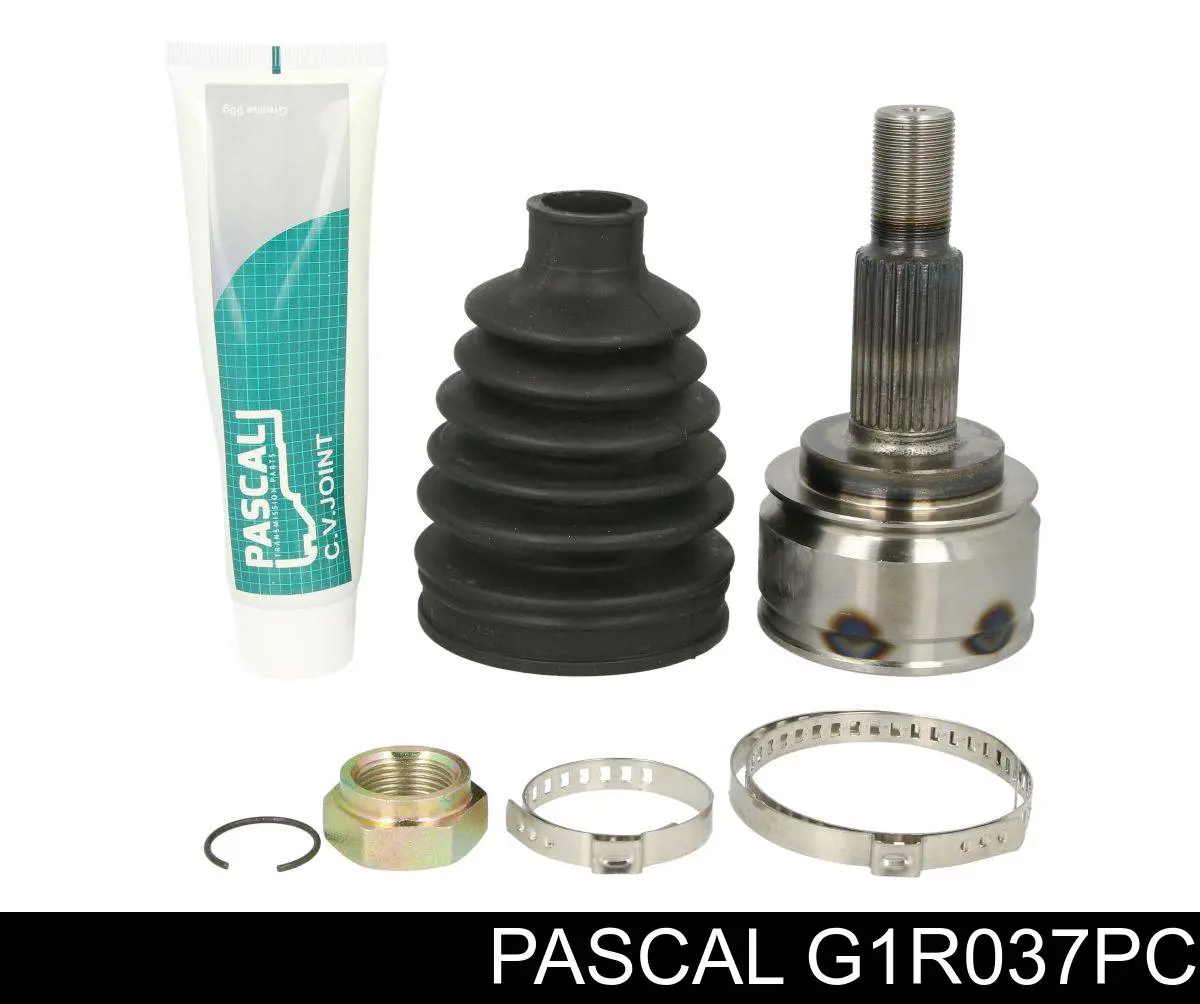 Przegub homokinetyczny przedni zewnętrzny Pascal G1R037PC cena, od 43,09 USD
