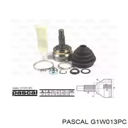 Przegub homokinetyczny przedni zewnętrzny Pascal G1W013PC cena, od 31,53 USD
