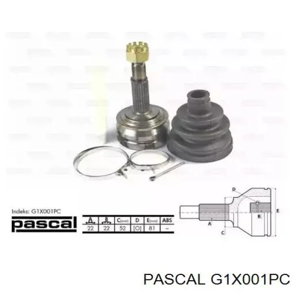 Przegub homokinetyczny przedni zewnętrzny Pascal G1X001PC cena, od 31,74 USD