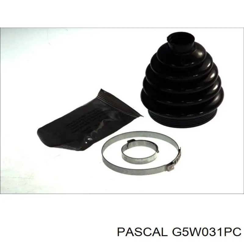 Do koszyka G5W031PC Pascal Osłona przegubu półosi tylnej zewnętrzna